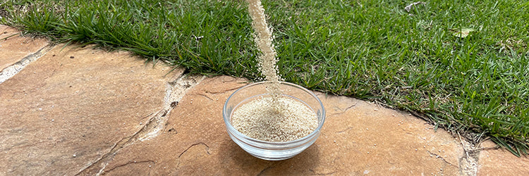 芝生の栄養お届け定急便