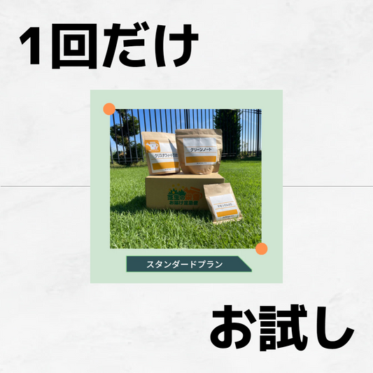 【1回お試し】今月の定期お試しプラン