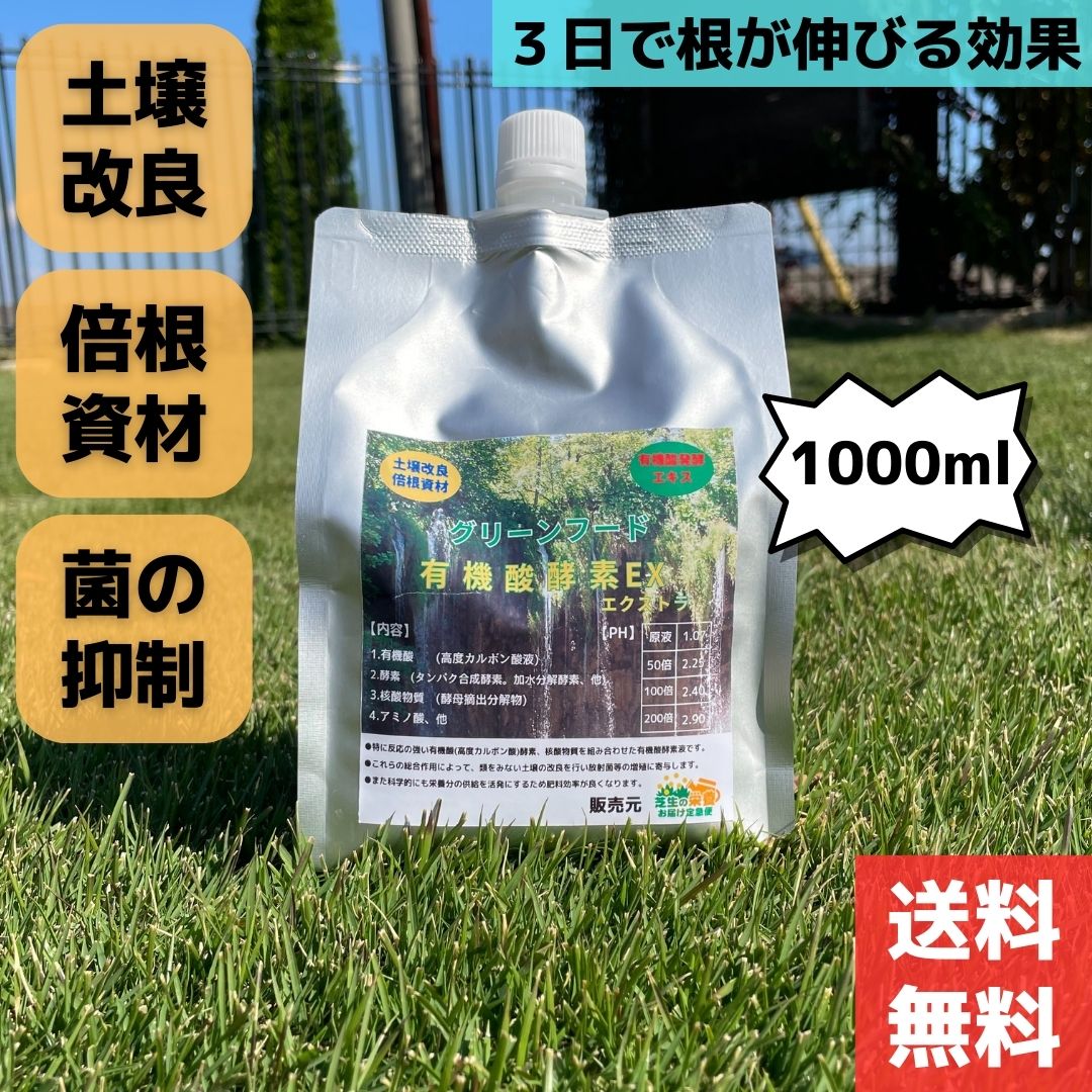 葉を緑色にしたい |【公式通販】芝生の栄養お届け定急便