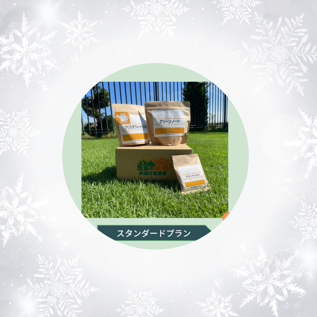 お得☆☆☆240枚+おまけ分セット☆敷いて1ヶ月くらい☆成長期の芝生 お得240枚+おまけ分セット☆敷いて1ヶ月くらい☆成長期の芝生