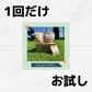 【1回お試し】今月の定期お試しプラン