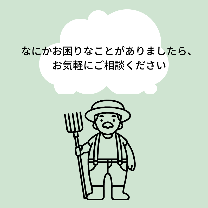 【1回お試し】今月の定期お試しプラン